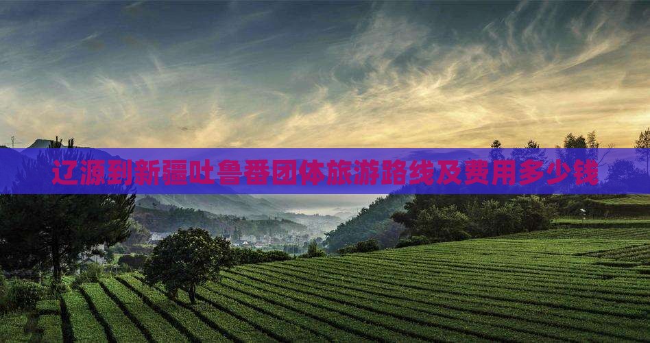 辽源到新疆吐鲁番团体旅游路线及费用多少钱