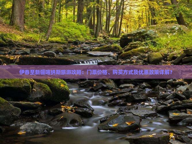 伊春至新疆喀纳斯旅游攻略：门票价格、购买方式及优惠政策详解？