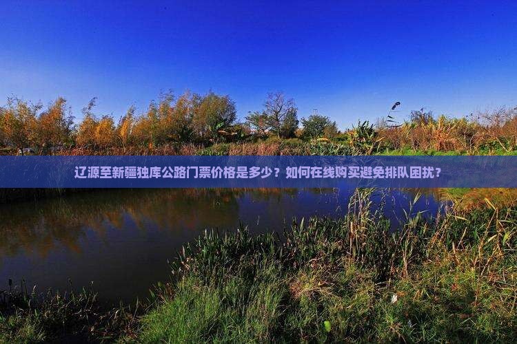 辽源至新疆独库公路门票价格是多少？如何在线购买避免排队困扰？