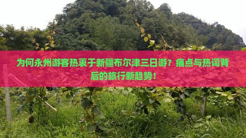为何永州游客热衷于新疆布尔津三日游？痛点与热词背后的旅行新趋势！