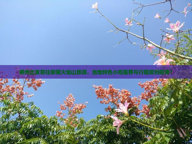 郴州出发前往新疆火焰山旅游，当地特色小吃推荐与行程规划指南？