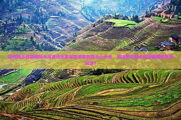 如何用五日游时间从乌海市出发深度游览新疆天山天池，解决旅行痛点和掌握哪些新潮玩法？