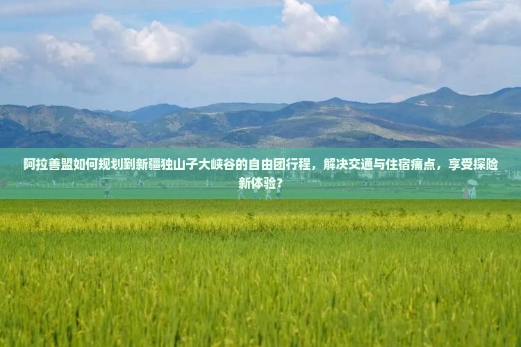 阿拉善盟如何规划到新疆独山子大峡谷的自由团行程，解决交通与住宿痛点，享受探险新体验？