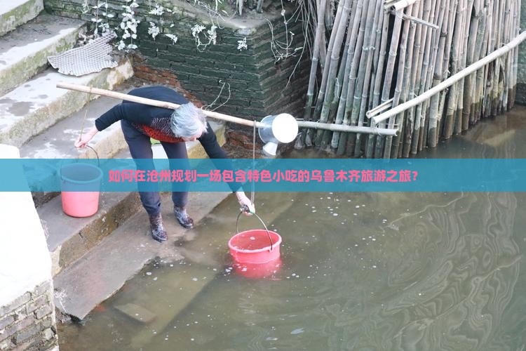 如何在沧州规划一场包含特色小吃的乌鲁木齐旅游之旅？