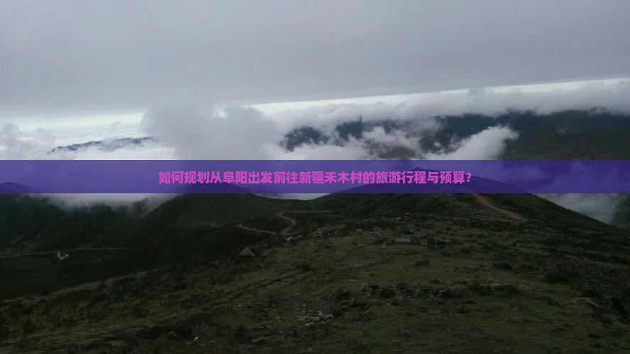 如何规划从阜阳出发前往新疆禾木村的旅游行程与预算？