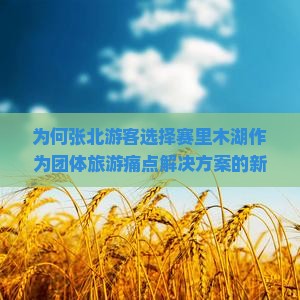为何张北游客选择赛里木湖作为团体旅游痛点解决方案的新兴热门目的地？
