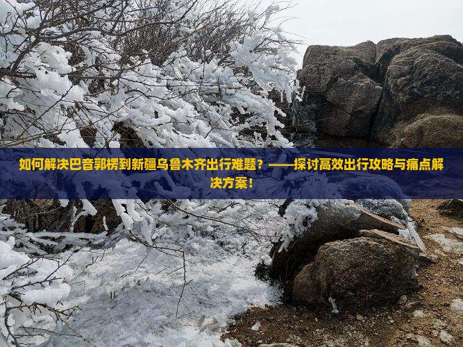 如何解决巴音郭楞到新疆乌鲁木齐出行难题？——探讨高效出行攻略与痛点解决方案！