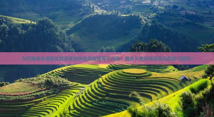 为何海南省直辖区的游客纷纷选择新疆可可托海？痛点与热词新词背后的旅行趋势！