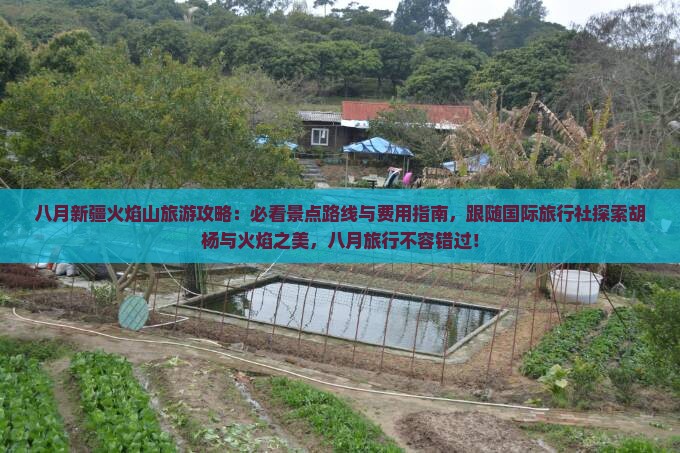 八月新疆火焰山旅游攻略：必看景点路线与费用指南，跟随国际旅行社探索胡杨与火焰之美，八月旅行不容错过！