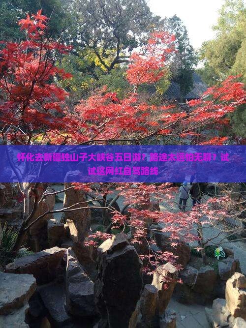 怀化去新疆独山子大峡谷五日游？路途太远怕无聊？试试这网红自驾路线