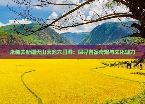 永新去新疆天山天池六日游：探寻自然奇观与文化魅力