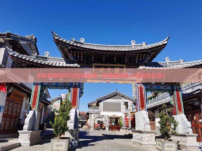 永新到新疆可可托海旅游，有哪些特色小吃值得品尝？