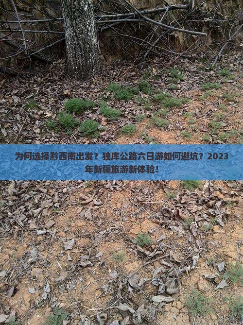 为何选择黔西南出发？独库公路六日游如何避坑？2023年新疆旅游新体验！