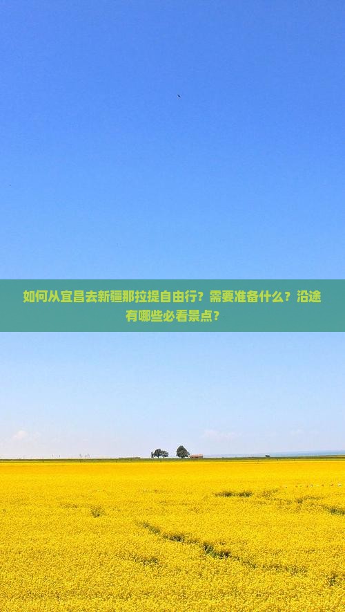 如何从宜昌去新疆那拉提自由行？需要准备什么？沿途有哪些必看景点？