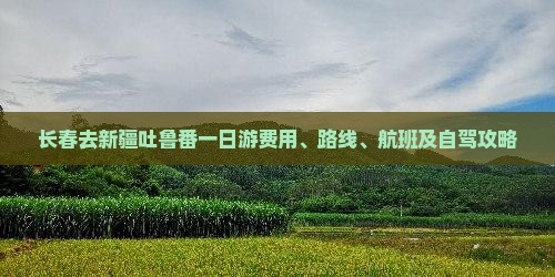 长春去新疆吐鲁番一日游费用、路线、航班及自驾攻略