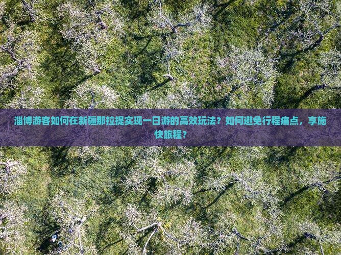 淄博游客如何在新疆那拉提实现一日游的高效玩法？如何避免行程痛点，享施快旅程？