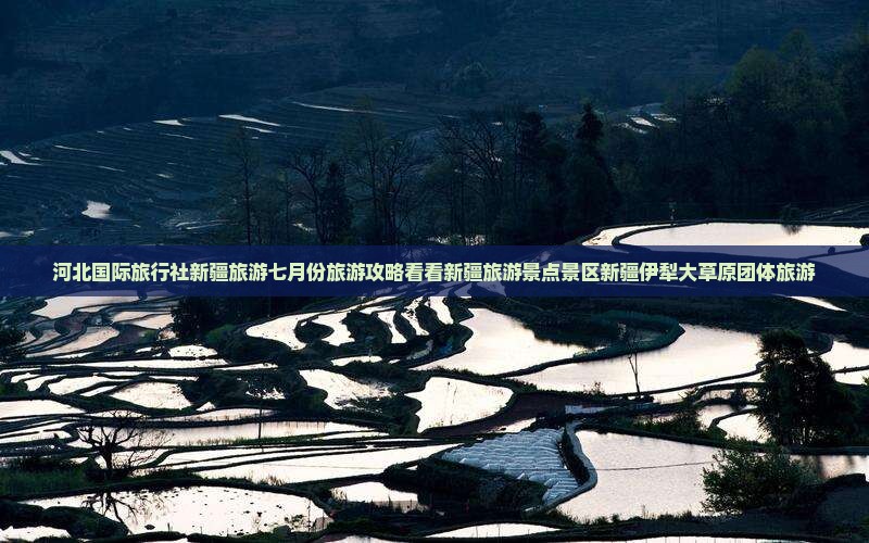河北国际旅行社新疆旅游七月份旅游攻略看看新疆旅游景点景区新疆伊犁大草原团体旅游