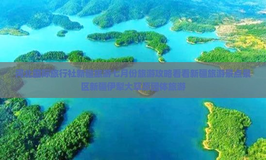 河北国际旅行社新疆旅游七月份旅游攻略看看新疆旅游景点景区新疆伊犁大草原团体旅游