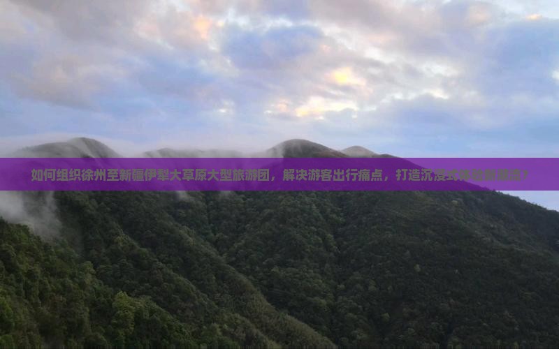 如何组织徐州至新疆伊犁大草原大型旅游团，解决游客出行痛点，打造沉浸式体验新潮流？