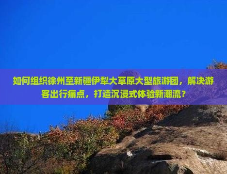 如何组织徐州至新疆伊犁大草原大型旅游团，解决游客出行痛点，打造沉浸式体验新潮流？