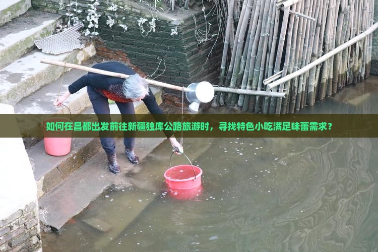 如何在昌都出发前往新疆独库公路旅游时，寻找特色小吃满足味蕾需求？