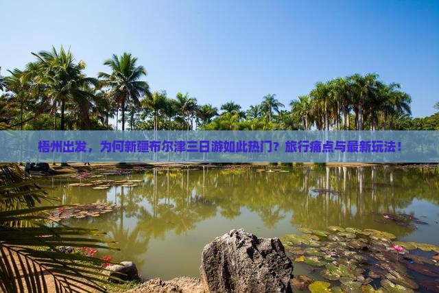 梧州出发，为何新疆布尔津三日游如此热门？旅行痛点与最新玩法！
