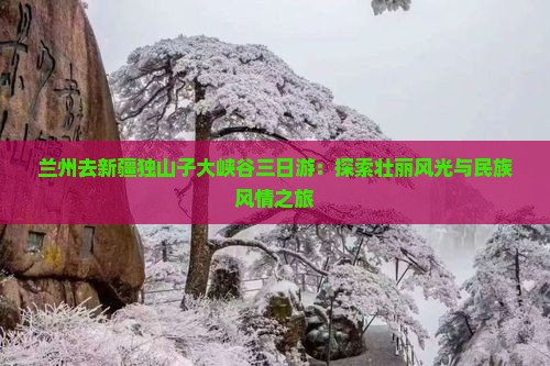 兰州去新疆独山子大峡谷三日游：探索壮丽风光与民族风情之旅