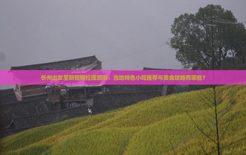 忻州出发至新疆那拉提旅游:当地特色小吃推荐与美食攻略有哪些? 忻州出发至新疆那拉提旅游:当地特色小吃推荐与美食攻略有哪些?