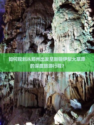 如何规划从郑州出发至新疆伊犁大草原的深度旅游行程？