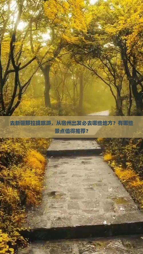 去新疆那拉提旅游，从宿州出发必去哪些地方？有哪些景点值得推荐？