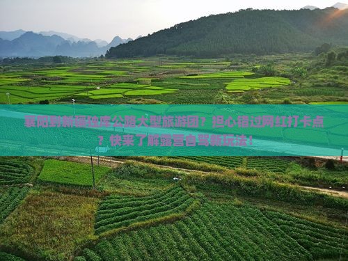 襄阳到新疆独库公路大型旅游团？担心错过网红打卡点？快来了解露营自驾新玩法！