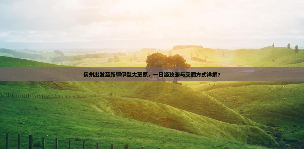 宿州出发至新疆伊犁大草原，一日游攻略与交通方式详解？