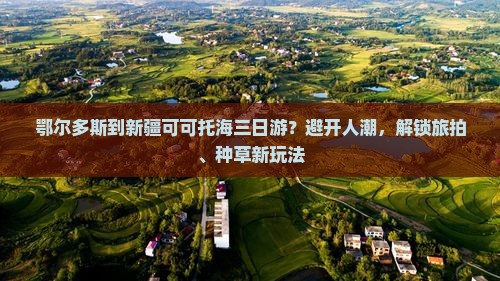 鄂尔多斯到新疆可可托海三日游？避开人潮，解锁旅拍、种草新玩法