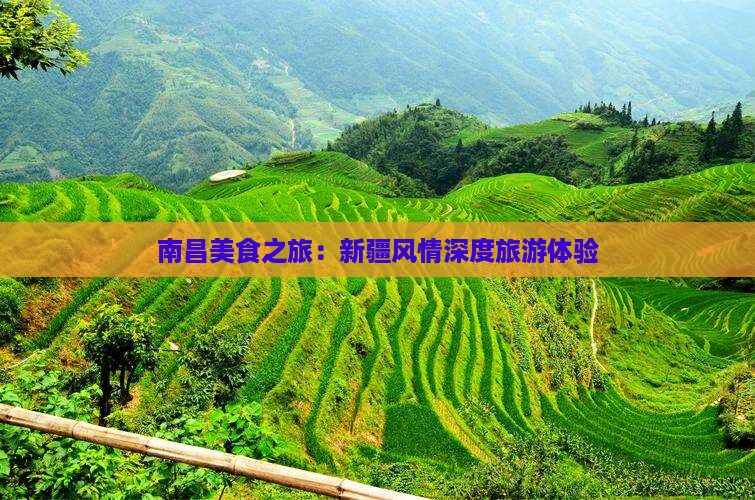 南昌美食之旅：新疆风情深度旅游体验