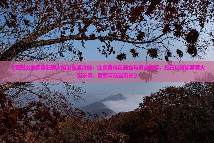《贵阳出发探秘新疆火焰山旅游攻略：吐鲁番特色美食与景点推荐，旅行社带你看看火焰羊肉、葡萄与高昌历史》