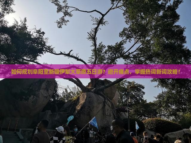 如何规划阜阳至新疆伊犁大草原五日游？避开痛点，掌握热词新词攻略！