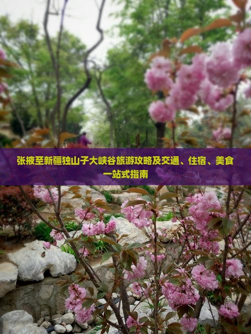 张掖至新疆独山子大峡谷旅游攻略及交通、住宿、美食一站式指南