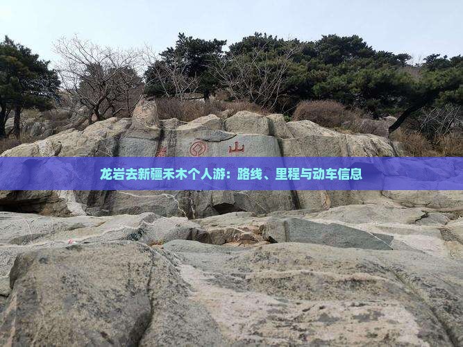 龙岩去新疆禾木个人游：路线、里程与动车信息