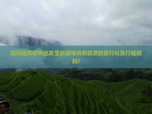 如何选择柳州出发至新疆喀纳斯旅游的旅行社及行程规划？