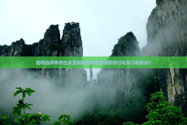 如何选择柳州出发至新疆喀纳斯旅游的旅行社及行程规划？