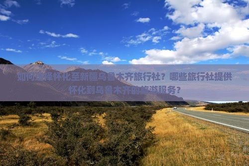 如何选择怀化至新疆乌鲁木齐旅行社？哪些旅行社提供怀化到乌鲁木齐的旅游服务？