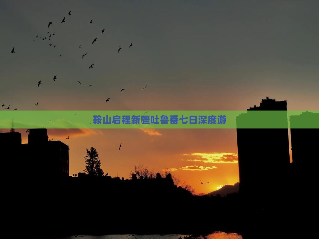 鞍山启程新疆吐鲁番七日深度游