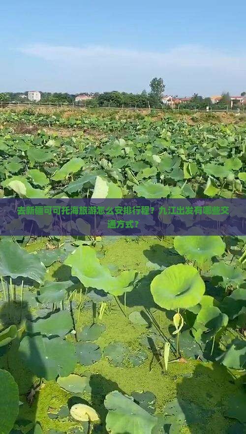 去新疆可可托海旅游怎么安排行程？九江出发有哪些交通方式？