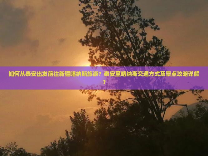 如何从泰安出发前往新疆喀纳斯旅游？泰安至喀纳斯交通方式及景点攻略详解？