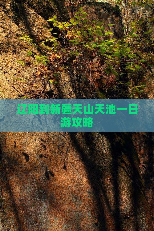 辽阳到新疆天山天池一日游攻略