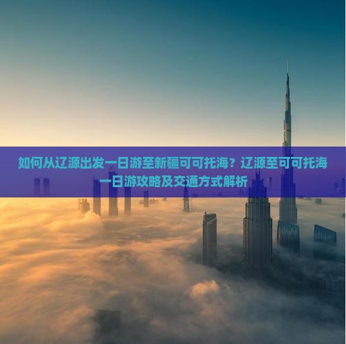 如何从辽源出发一日游至新疆可可托海？辽源至可可托海一日游攻略及交通方式解析