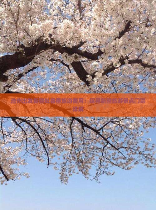 池州出发新疆吐鲁番旅游费用：探寻新疆旅游景点门票详解