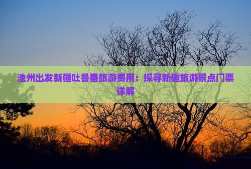 池州出发新疆吐鲁番旅游费用：探寻新疆旅游景点门票详解