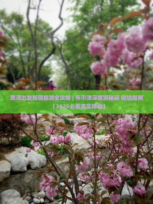 鹰潭去新疆布尔津大型旅游团