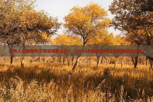 朔州去新疆布尔津哪里玩